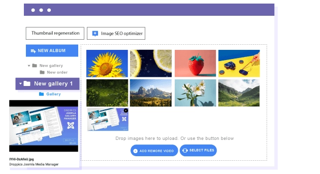 Droppics, Joomla gallery extension and image manager