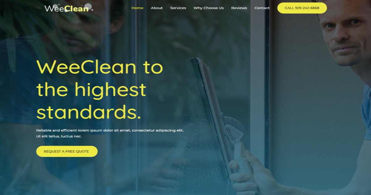 Cleaning Agency