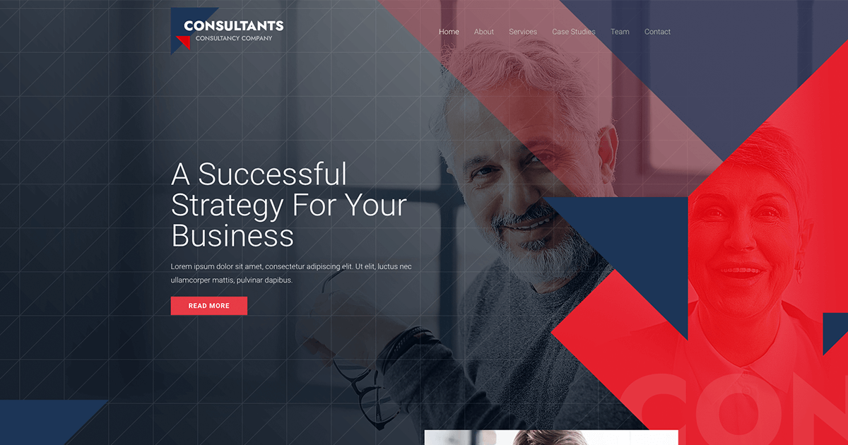 Consultants Firm
