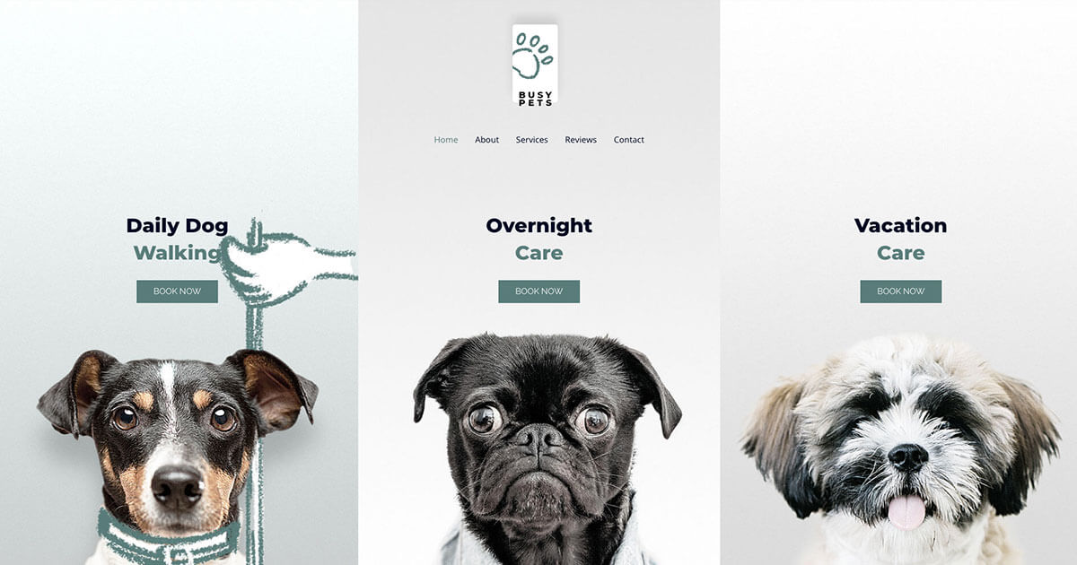 Pet Care