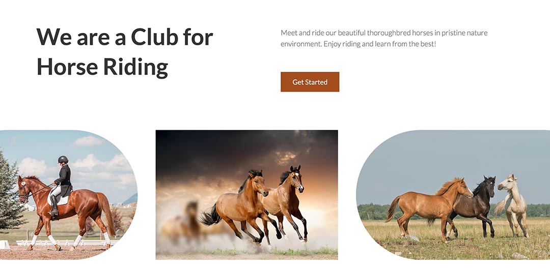 Horses — Horse Riding Joomla Template